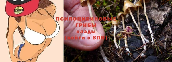 дмт Лабытнанги