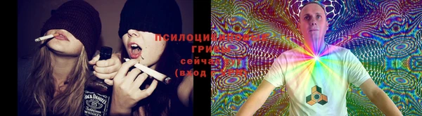 дмт Лабытнанги