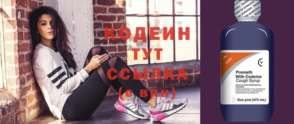 дмт Лабытнанги