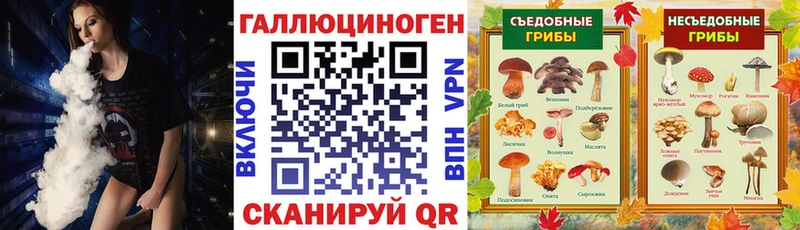 Галлюциногенные грибы MAGIC MUSHROOMS  Купить закладки  Артёмовский 